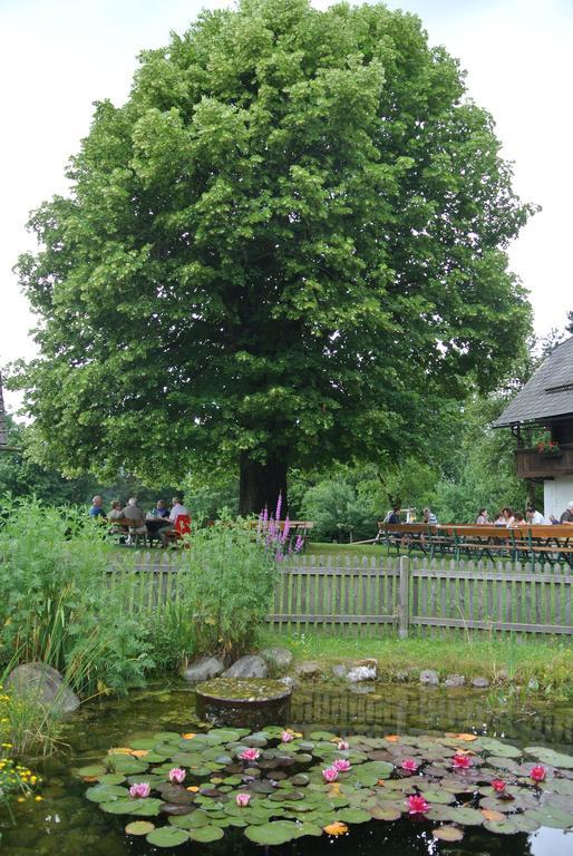 Appartment Buerger-Hinteregger Seeboden Luaran gambar